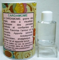 cardamome