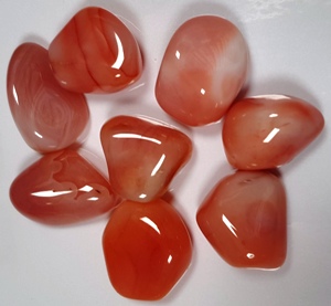 Agate Pêche