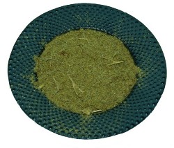 dragon_powder
