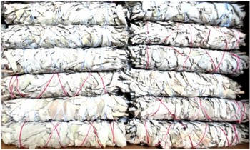 sauge blanche californie 30g