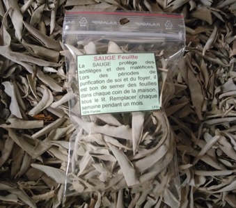 sauge blanche en feuille