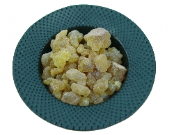 tibetain