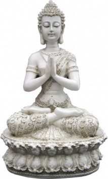 Bouda Timet médidation sur lotus